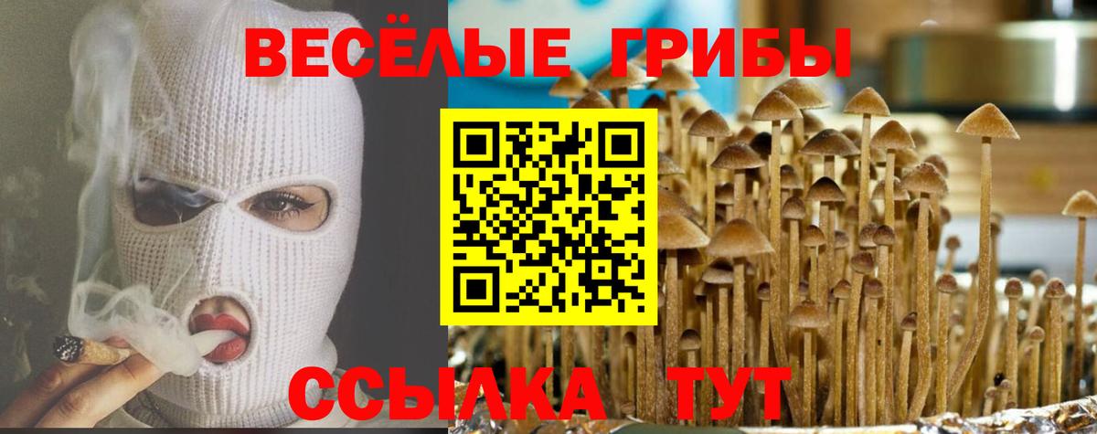 Псилоцибиновые грибы прущие грибы Партизанск
