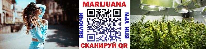 Бошки Шишки планчик Партизанск